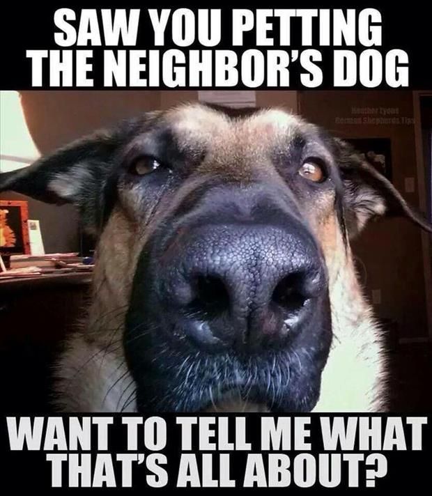 NeighborsDog