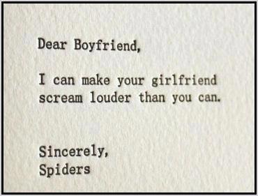 SpidersScream