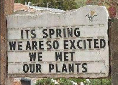 WetPlants