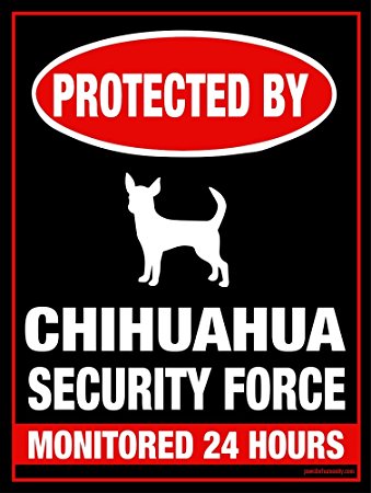ChihuahuaSecurity