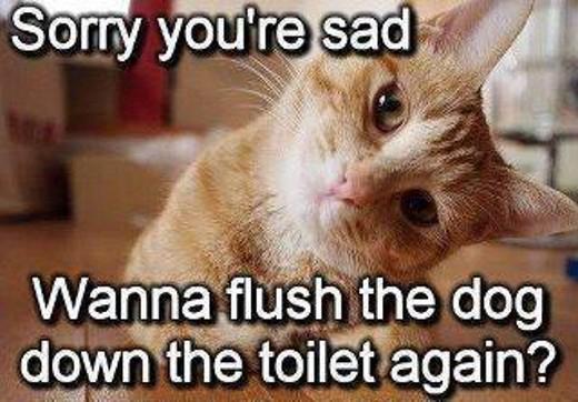 SadToiletKitty
