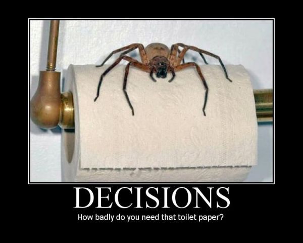 ToiletSpider