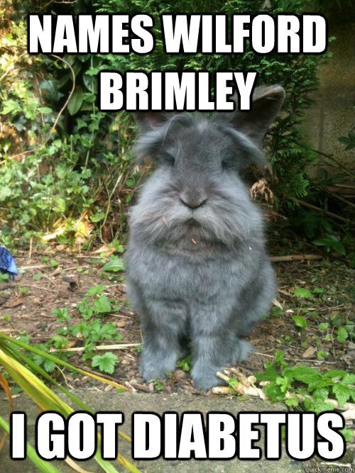WilfordBrimleyBunny