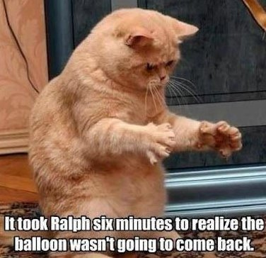 BalloonCat