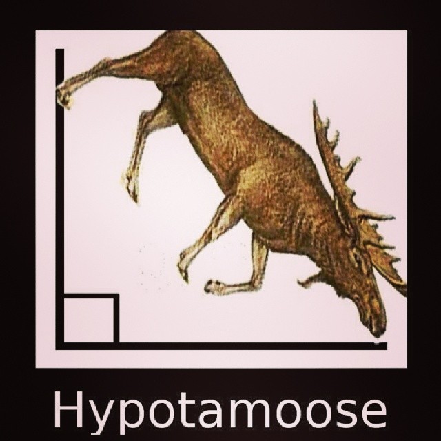 Hypotamoose