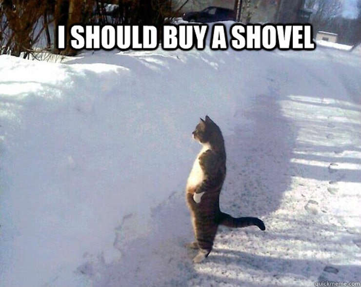 BuyaShovelCat