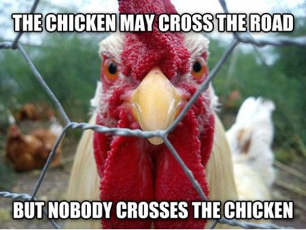 CrossChicken