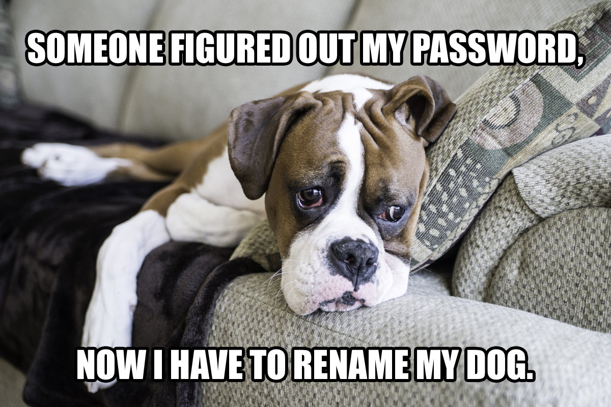 DogPassword