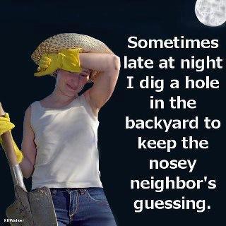 NoseyNeighborDig