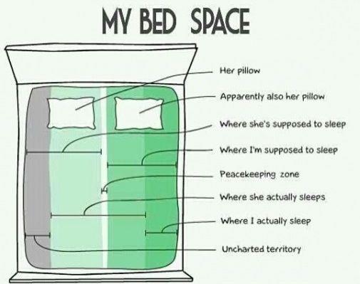 BedSpace