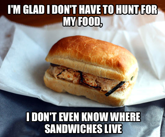 SandwichHunt