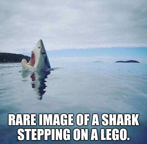 SharkLego
