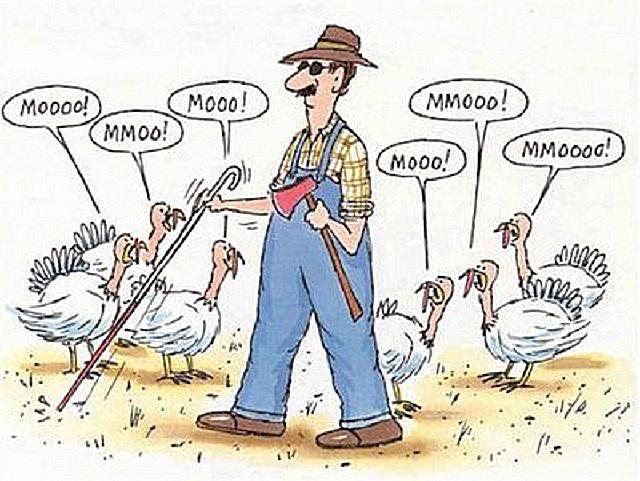 MooThanksgiving