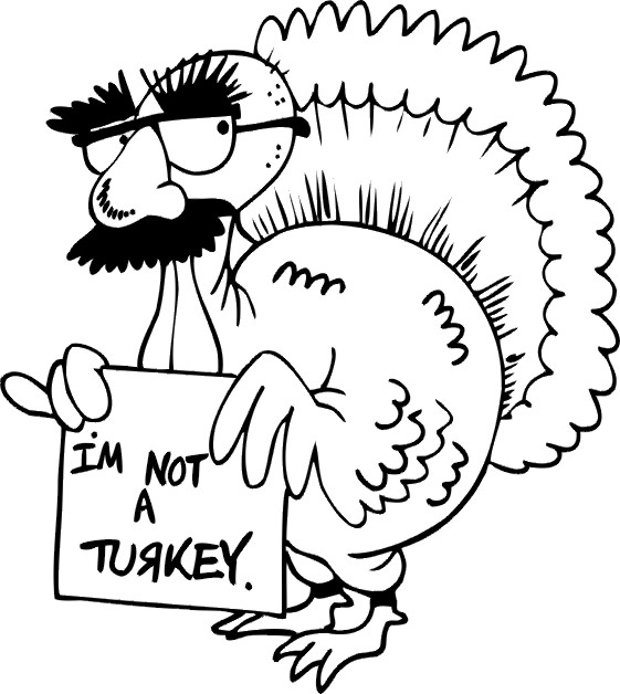 NotTurkey