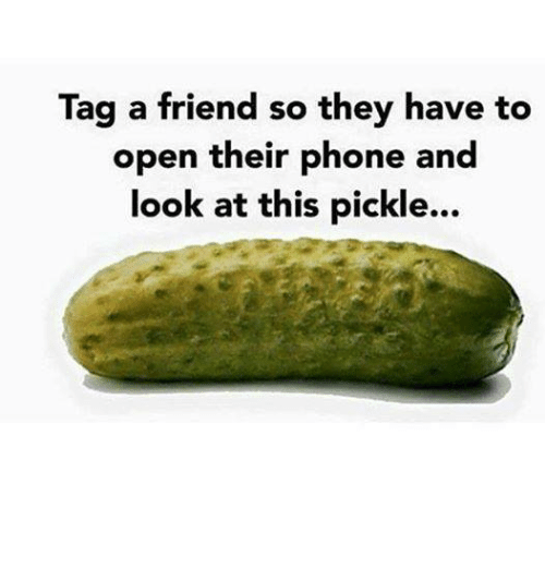 PickleTag