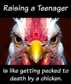 TeenagerPecked