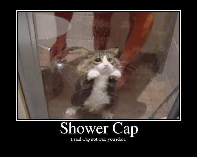 ShowerCat