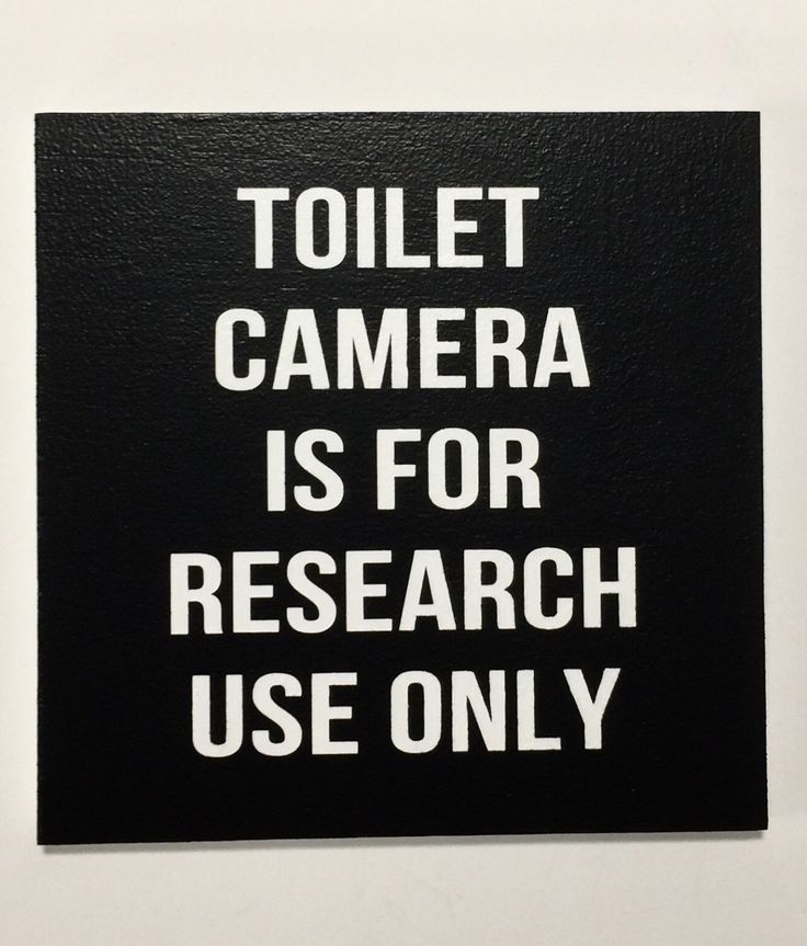 ToiletCamera