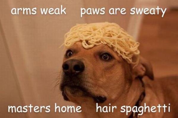 HairSpaghetti