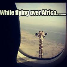 AfricaFlyover