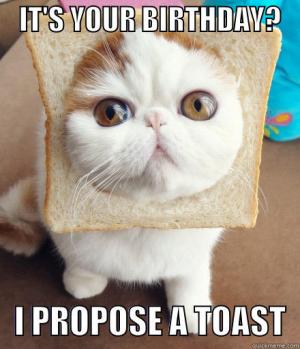 CatToast