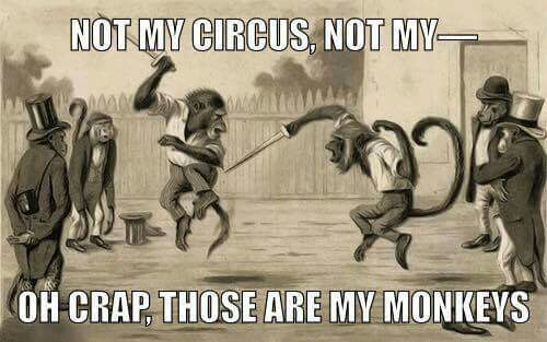 MyMonkeys