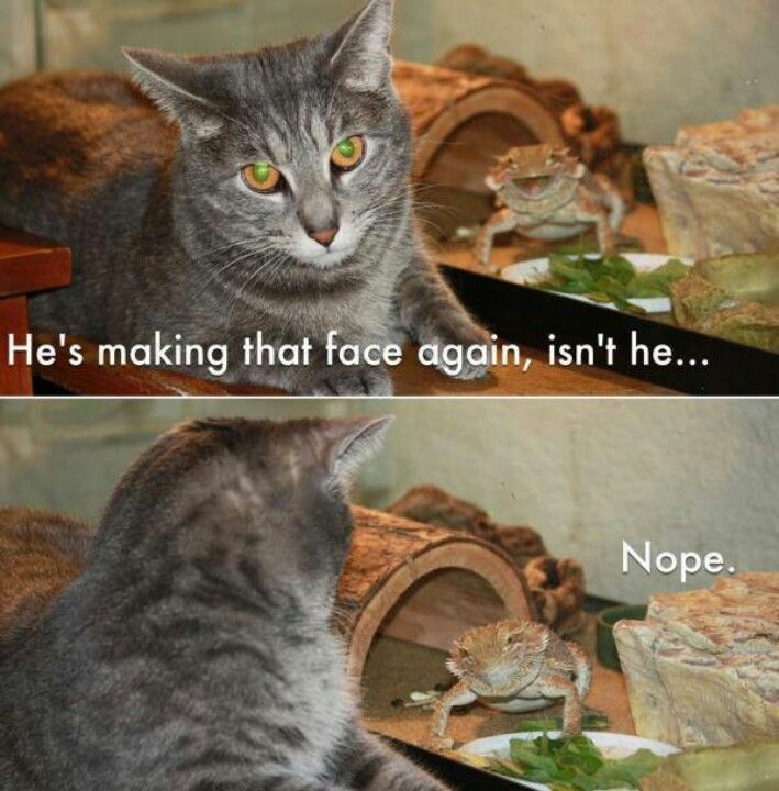NopeFace