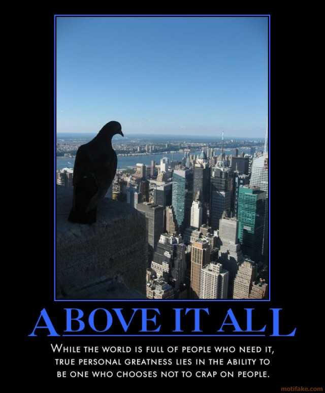 PigeonsAboveItAll
