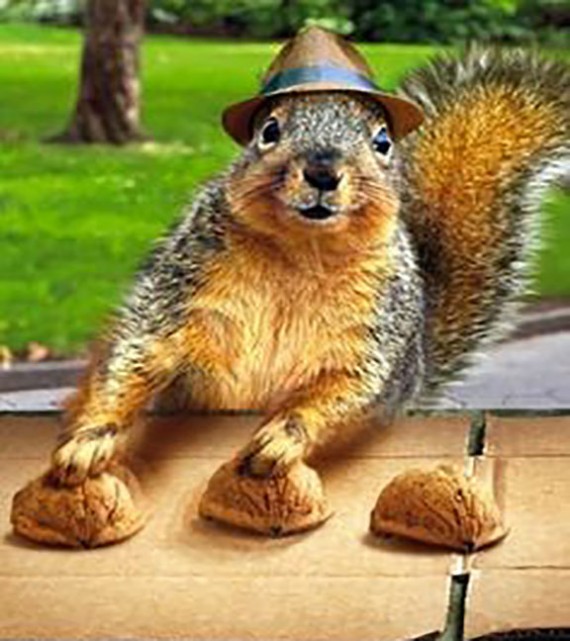 SquirrelsInThePark