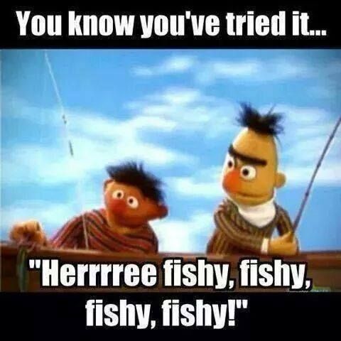 HereFishyFishy