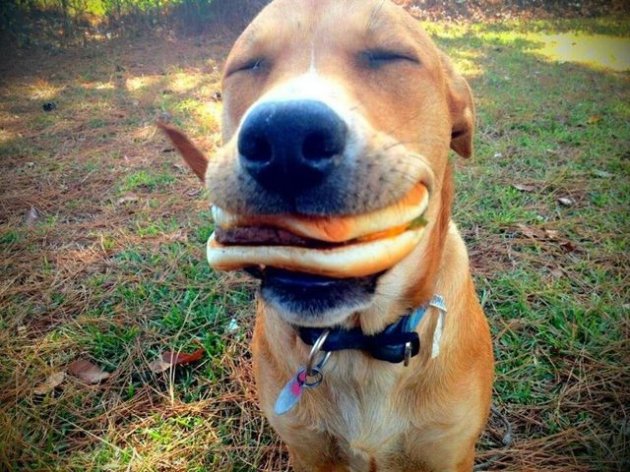 BurgerSmile