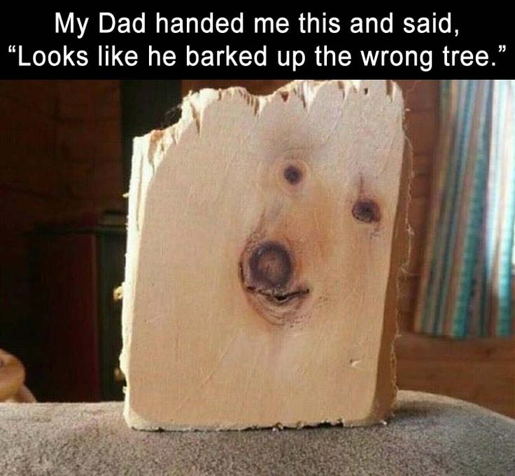 BarkedTree