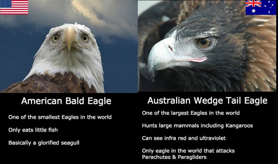 Eagles