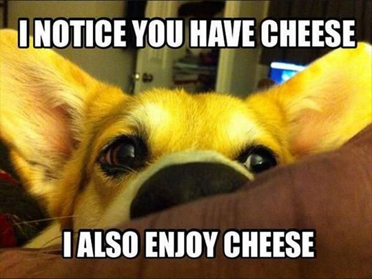 EnjoyCheese