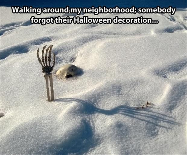 HalloweenSnowBones