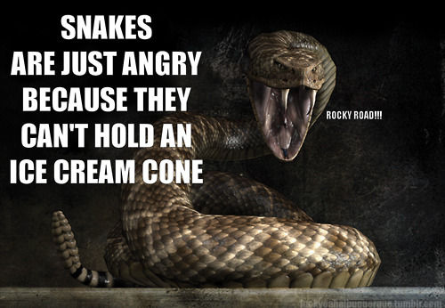 IceCreamSnake