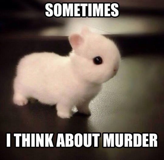 MurderBunny