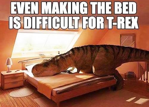 BedMakingTrex