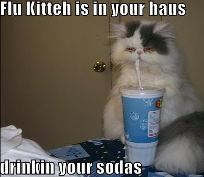 Flu Kittenjpg