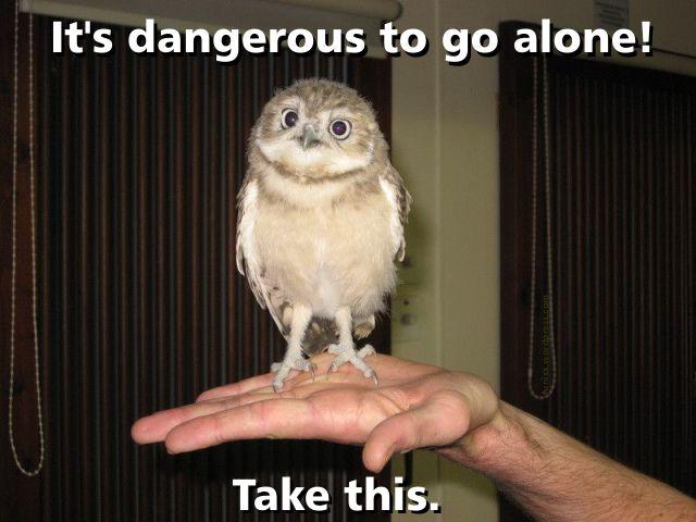 OwlGuard