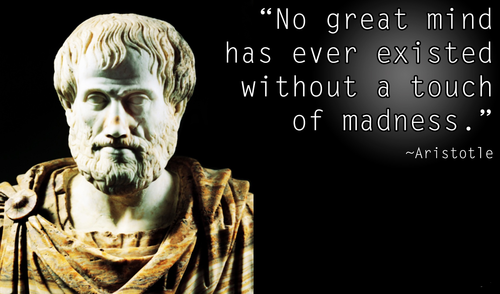 AristotleMadnessQuote