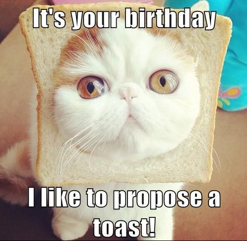 BirthdayToastKitteh