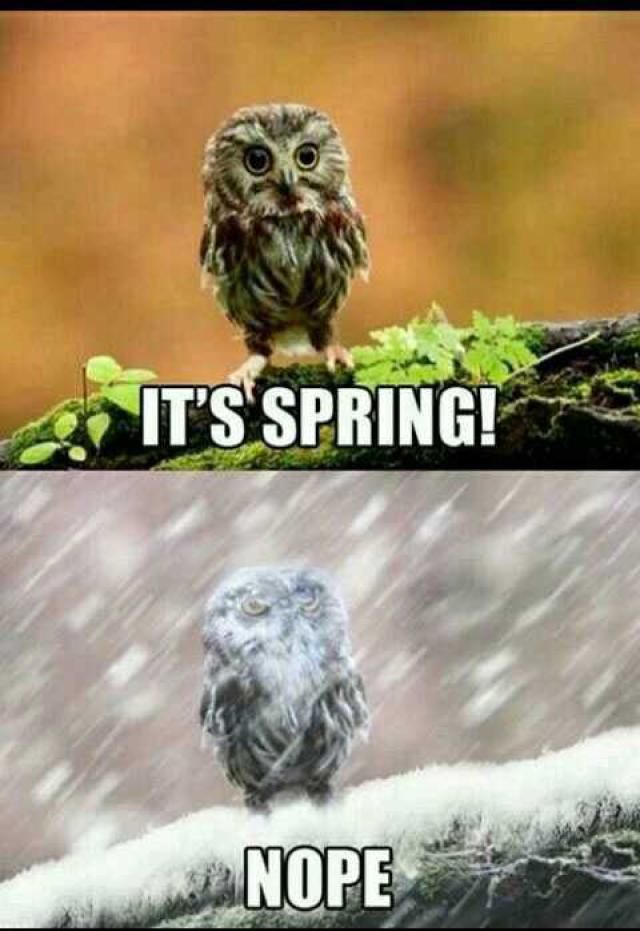 ItsSpringNope