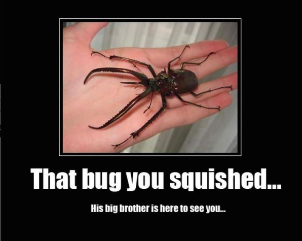 BugSquish