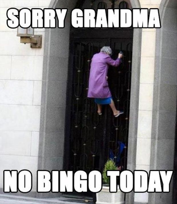 NoBingoGrandma