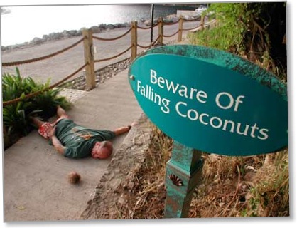 FallingCoconuts