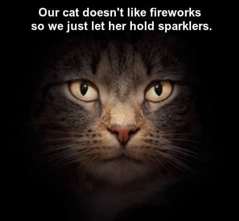 CatHatesFireworks