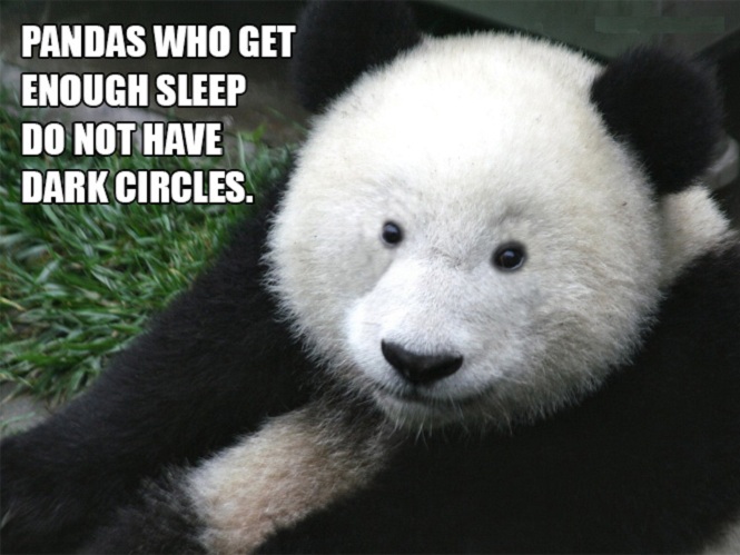 PandaCircles