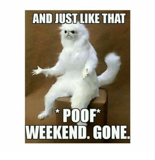 PoofWeekendGone