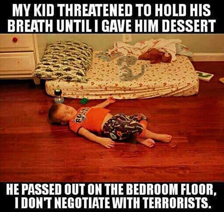 PassedOutTerrorist